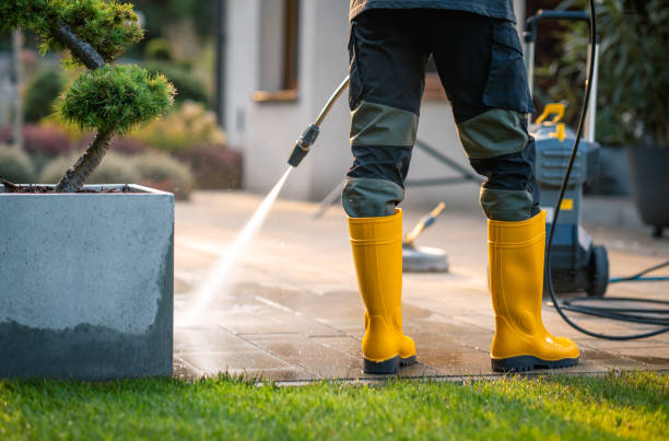 Best Exterior Home Cleaning  in Ol, LA